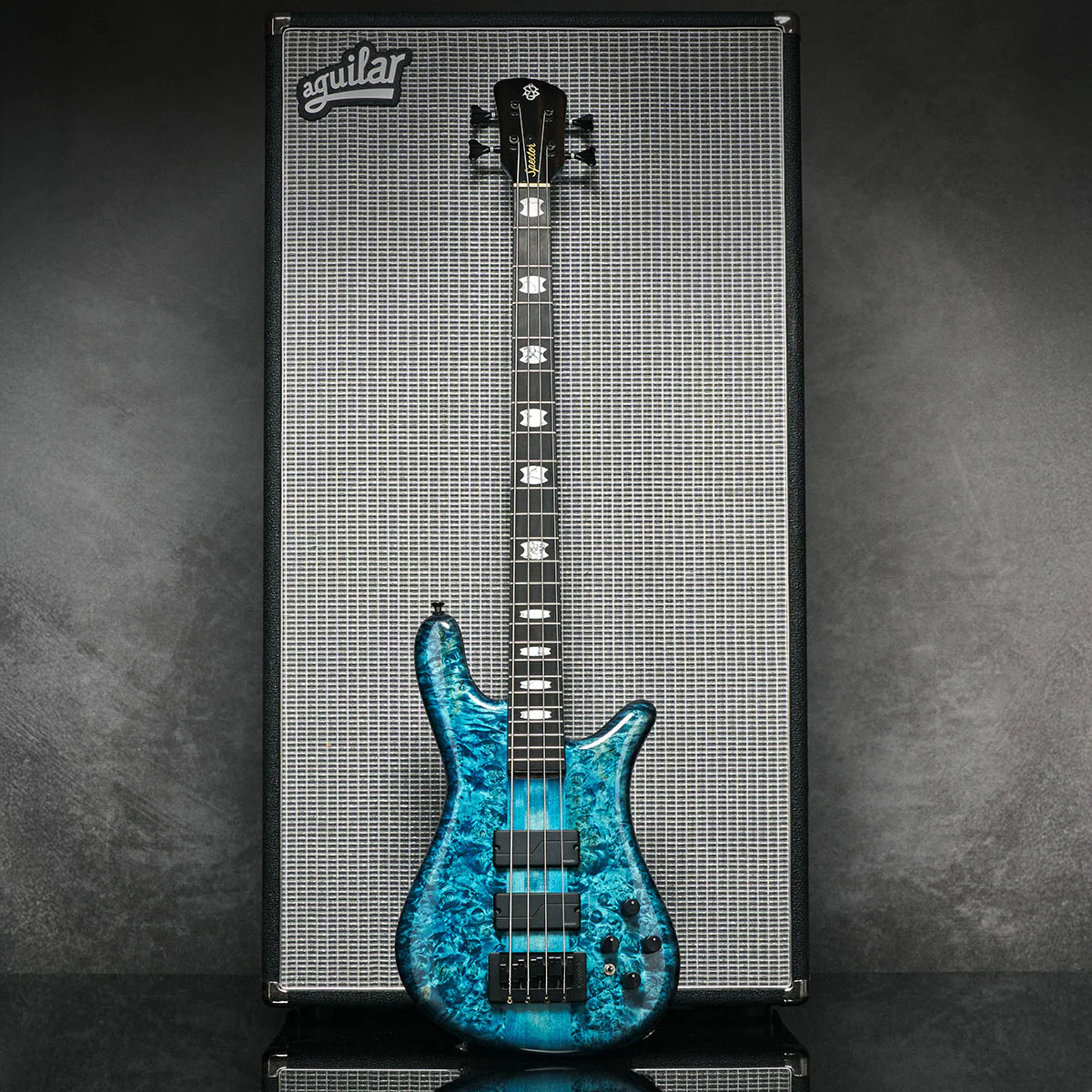 Spec Your Dream Bass Today - Image 3