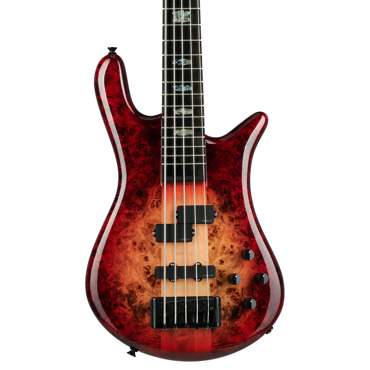 Euro CST 5 String - Image 3